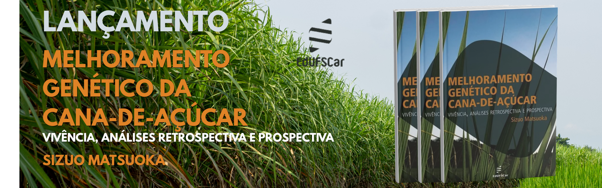 Melhoramento genético da cana-de-açucar