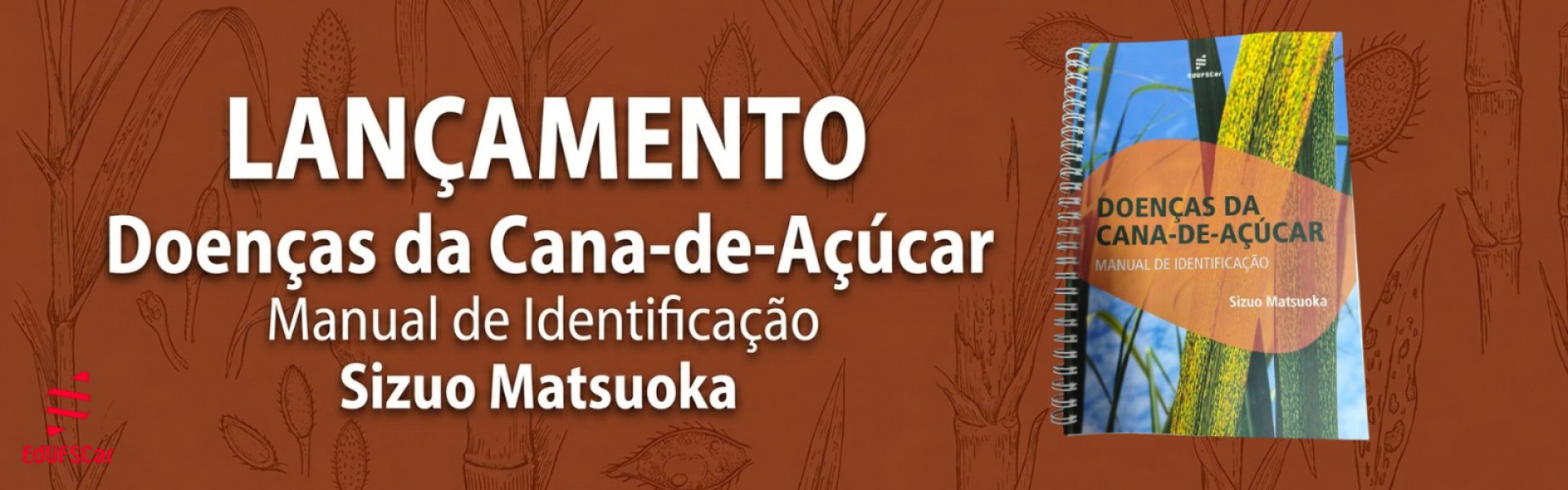 Doenças da cana-de-açucar