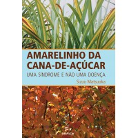 Amarelinho da cana-de-açúcar - uma síndrome e não uma doença