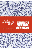 Grande Sertão - Veredas <br /><br /> <small>JOÃO GUIMARÃES ROSA</small>