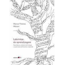 Labirintos da aprendizagem <br /><br /> <small>MAZZARI, MARCUS VINICIUS</small>