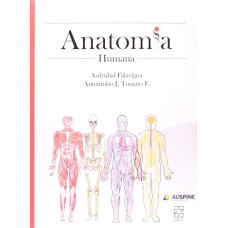 Anatomia Humana <br /><br /> <small>FALAVIGNA, ASDRUBAL</small>