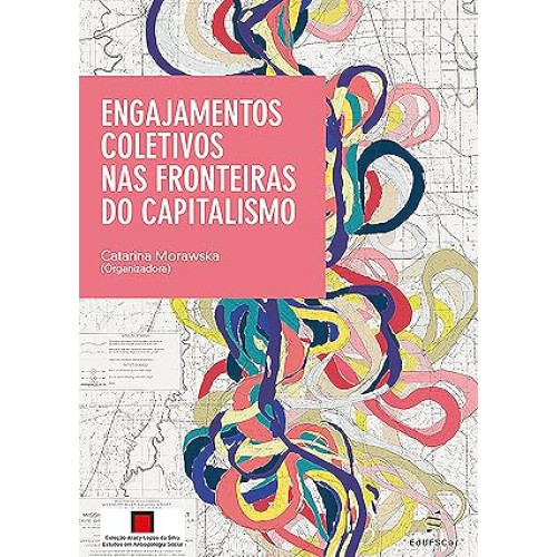 Engajamentos coletivos nas fronteiras do capitalismo   <br /><br /> <small>Catarina Morawska; </small>