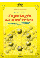Introdução à topologia geométrica: passeios de Euler, superfícies e o teorema das quatro cores, Uma