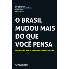 Brasil Mudou Mais do que Você Pensa, O <br /><br /> <small>VARIOS</small>