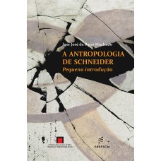Antropologia de Schneider: pequena introdução, A <br /><br /> <small>IGOR JOSÉ DE RENÓ MACHADO</small>