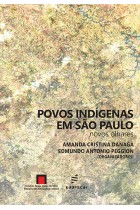 Povos indígenas em São Paulo: novos olhares <br /><br /> <small>AMANDA CRISTINA DANAGA; EDMUNDO ANTONIO PEGGION</small>