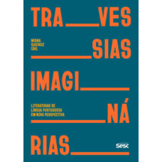 Travessias imaginárias: Literaturas de língua portuguesa em nova perspectiva <br /><br /> <small>MIRNA QUEIROZ</small>