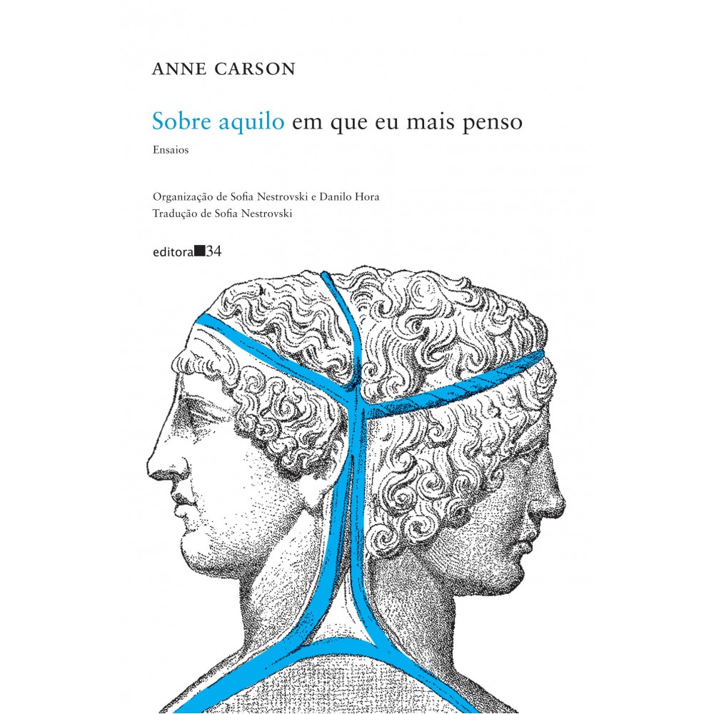 Sobre aquilo em que eu mais penso - Ensaios