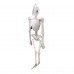 Então Você Acha Que Conhece ... O Corpo Humano Então Você Acha Que Conhece ... O Corpo Humano