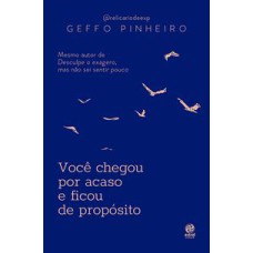 Você chegou por acaso e ficou de propósito   <br /><br /> <small>Geffo Pinheiro; </small>