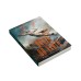 Bruxo do vento  -  Livro 2 da Série Terra das Bruxas