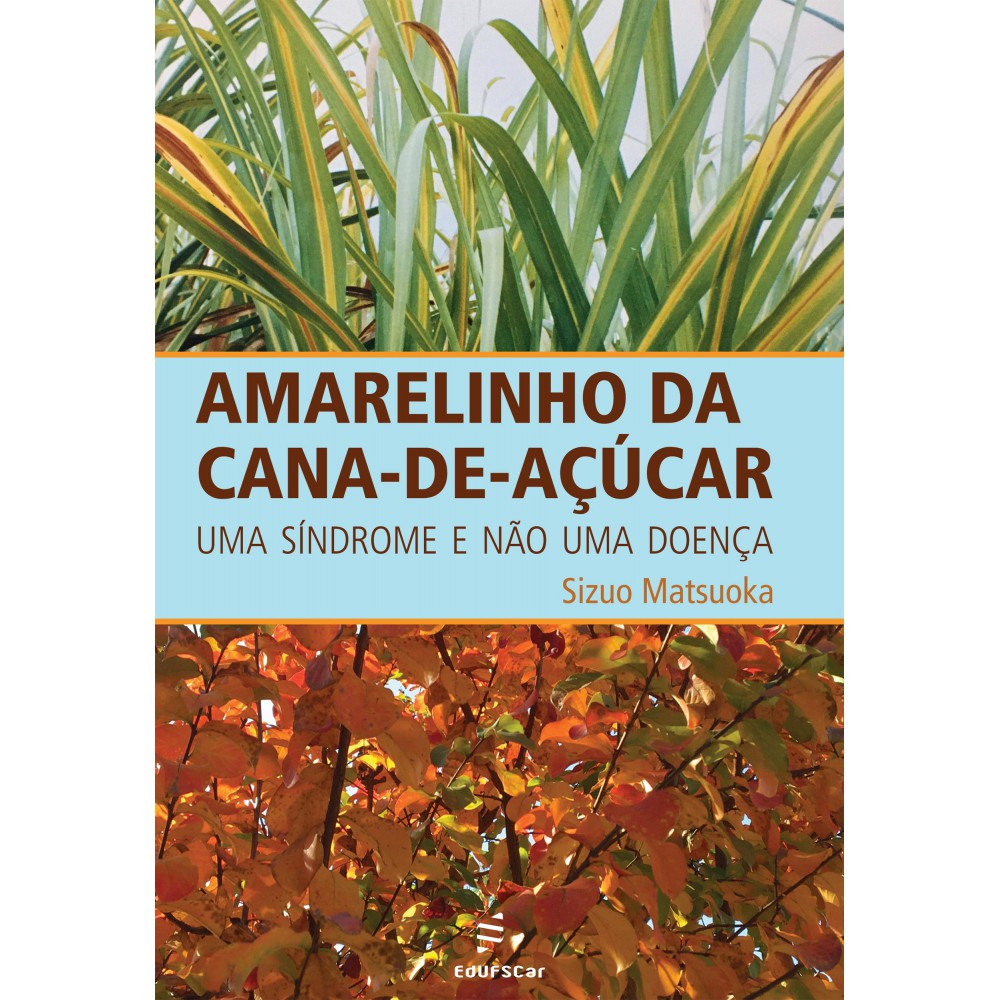 Amarelinho da cana-de-açúcar - uma síndrome e não uma doença