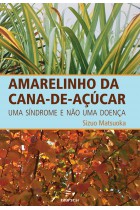 Amarelinho da cana-de-açúcar - uma síndrome e não uma doença