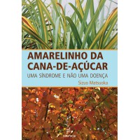 Amarelinho da cana-de-açúcar - uma síndrome e não uma doença