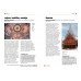 Breve História da Arquitetura - Um guia de bolso com os principais estilos, elementos e materiais
