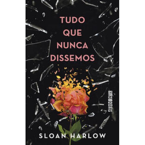 Tudo que nunca dissemos   <br /><br /> <small>SLOAN HARLOW-</small>