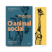 O animal social O animal social